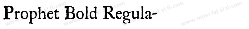 Prophet Bold Regula字体转换